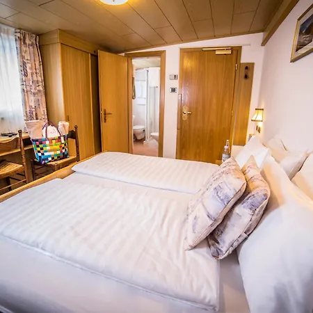 Arnika 3*