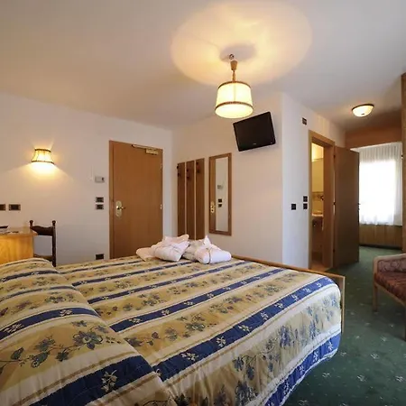 Arnika 3*